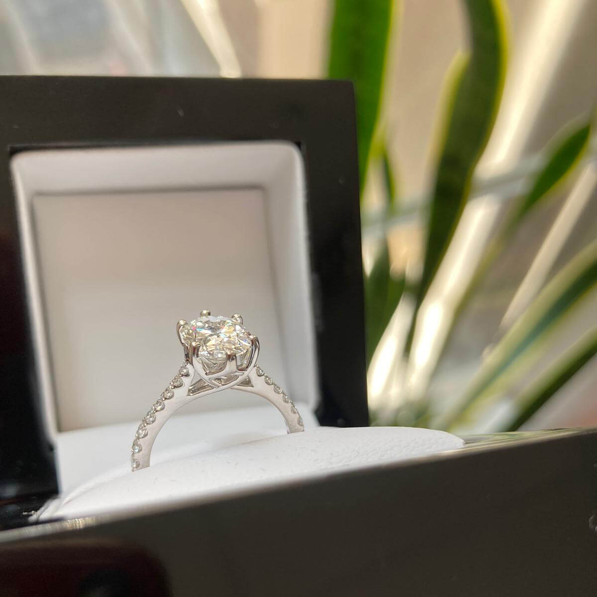 Tulip Basket Diamond Engagement Ring in 18k White Gold – Australian Diamond Network